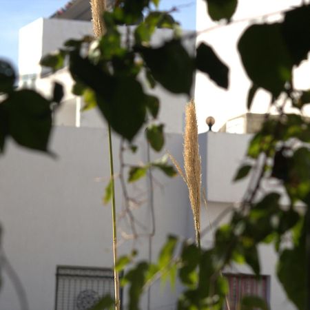 Residence Sterne Hammam al Ghazzaz Εξωτερικό φωτογραφία