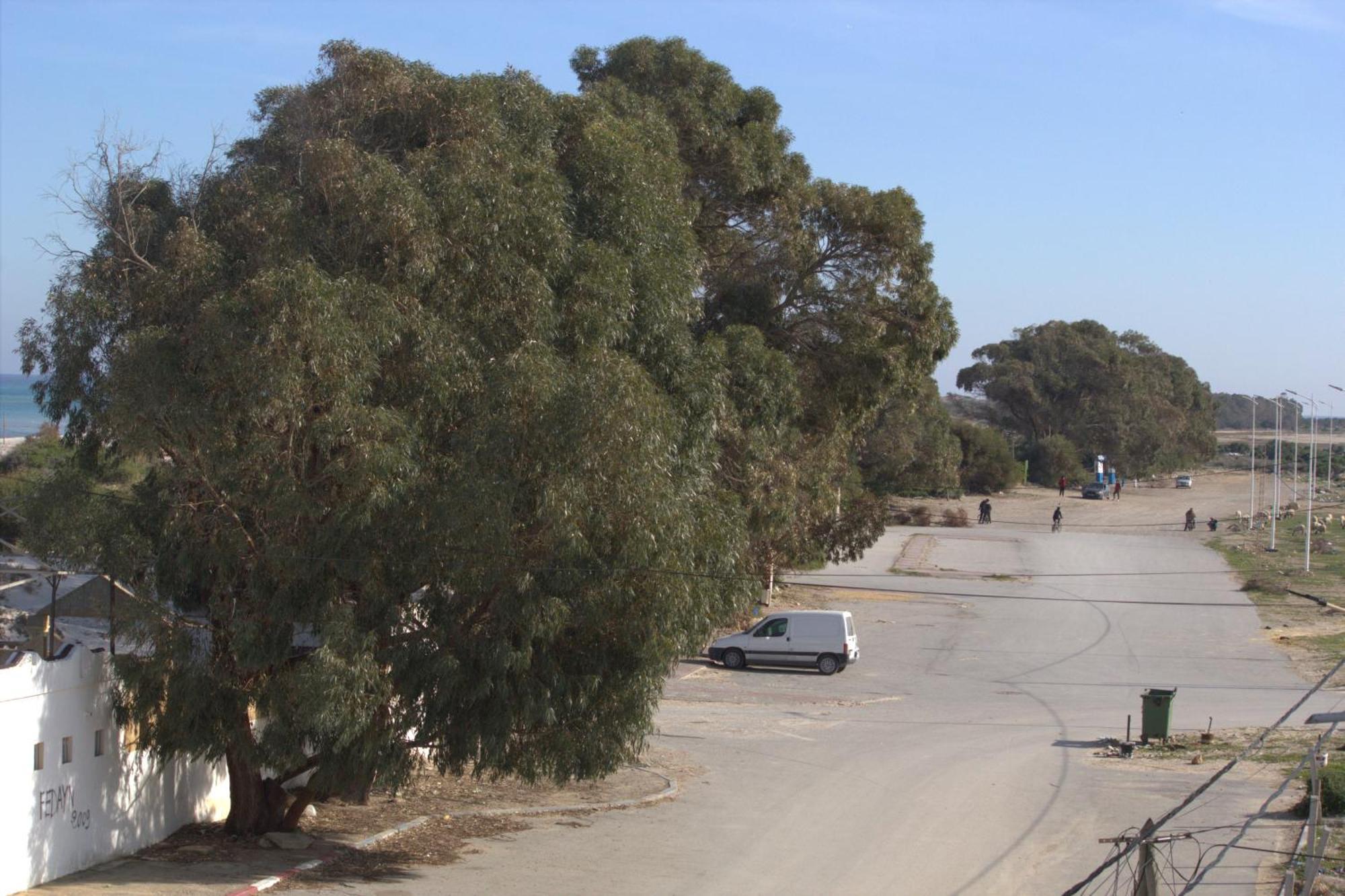 Residence Sterne Hammam al Ghazzaz Εξωτερικό φωτογραφία