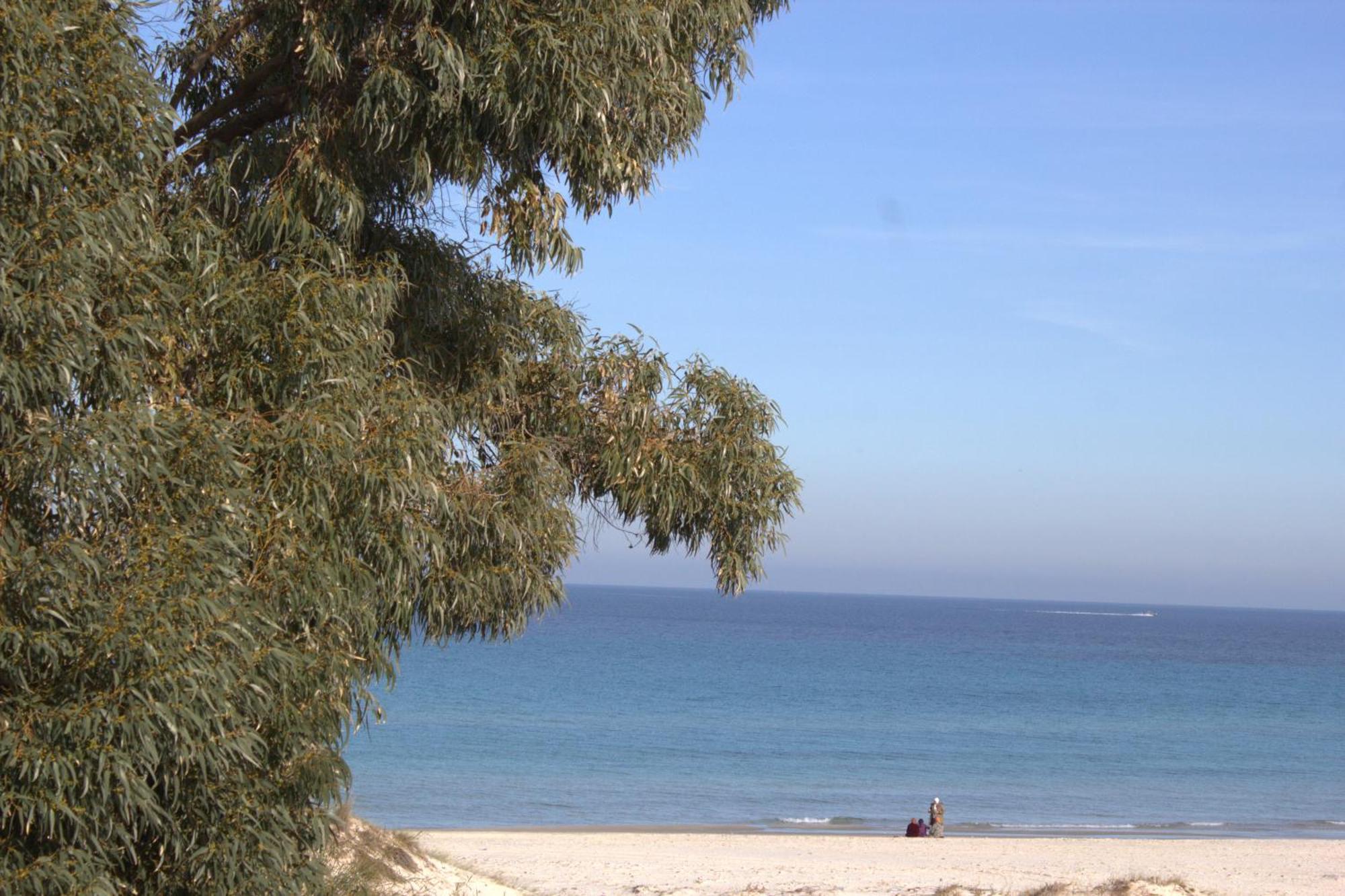 Residence Sterne Hammam al Ghazzaz Εξωτερικό φωτογραφία