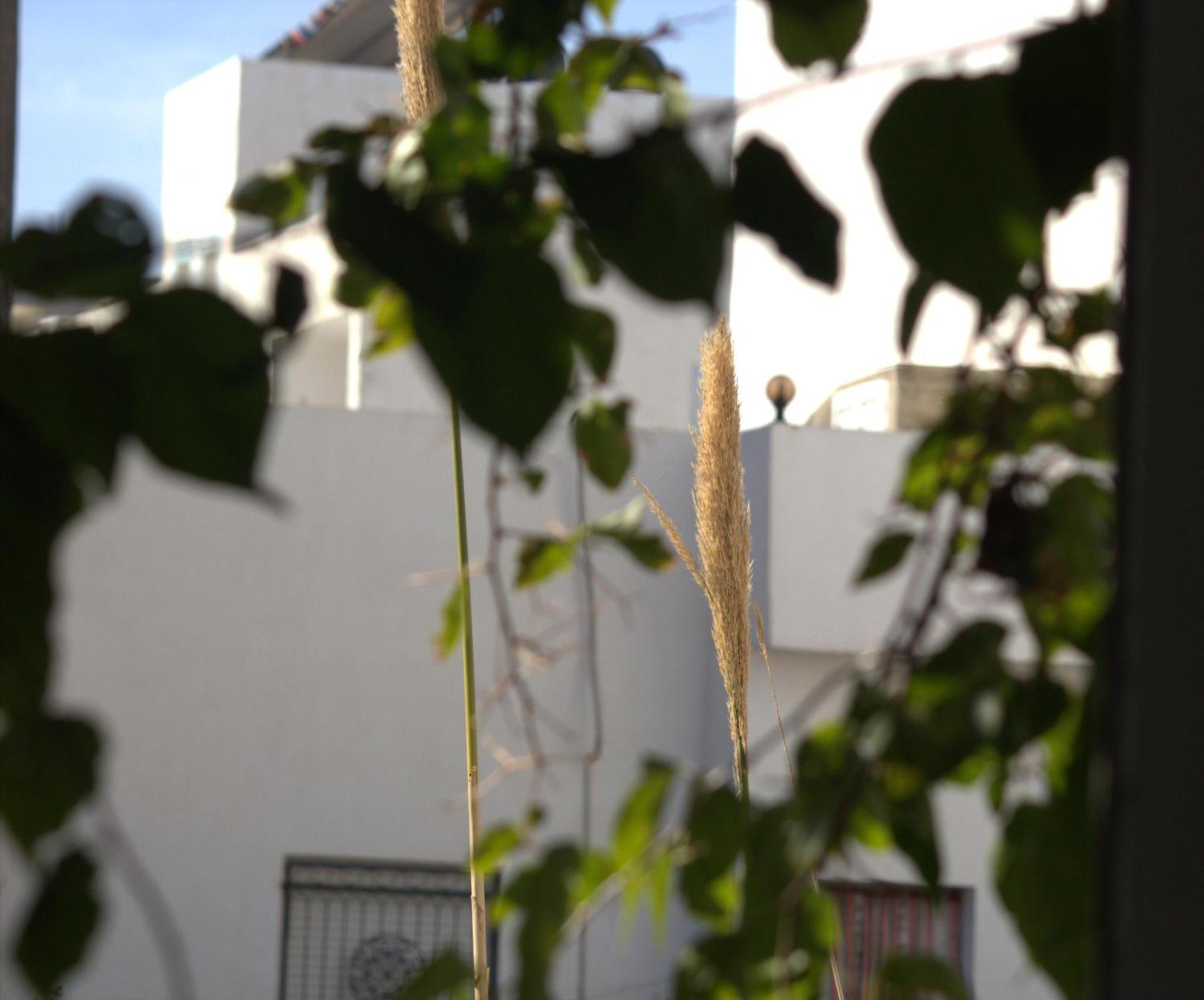 Residence Sterne Hammam al Ghazzaz Εξωτερικό φωτογραφία