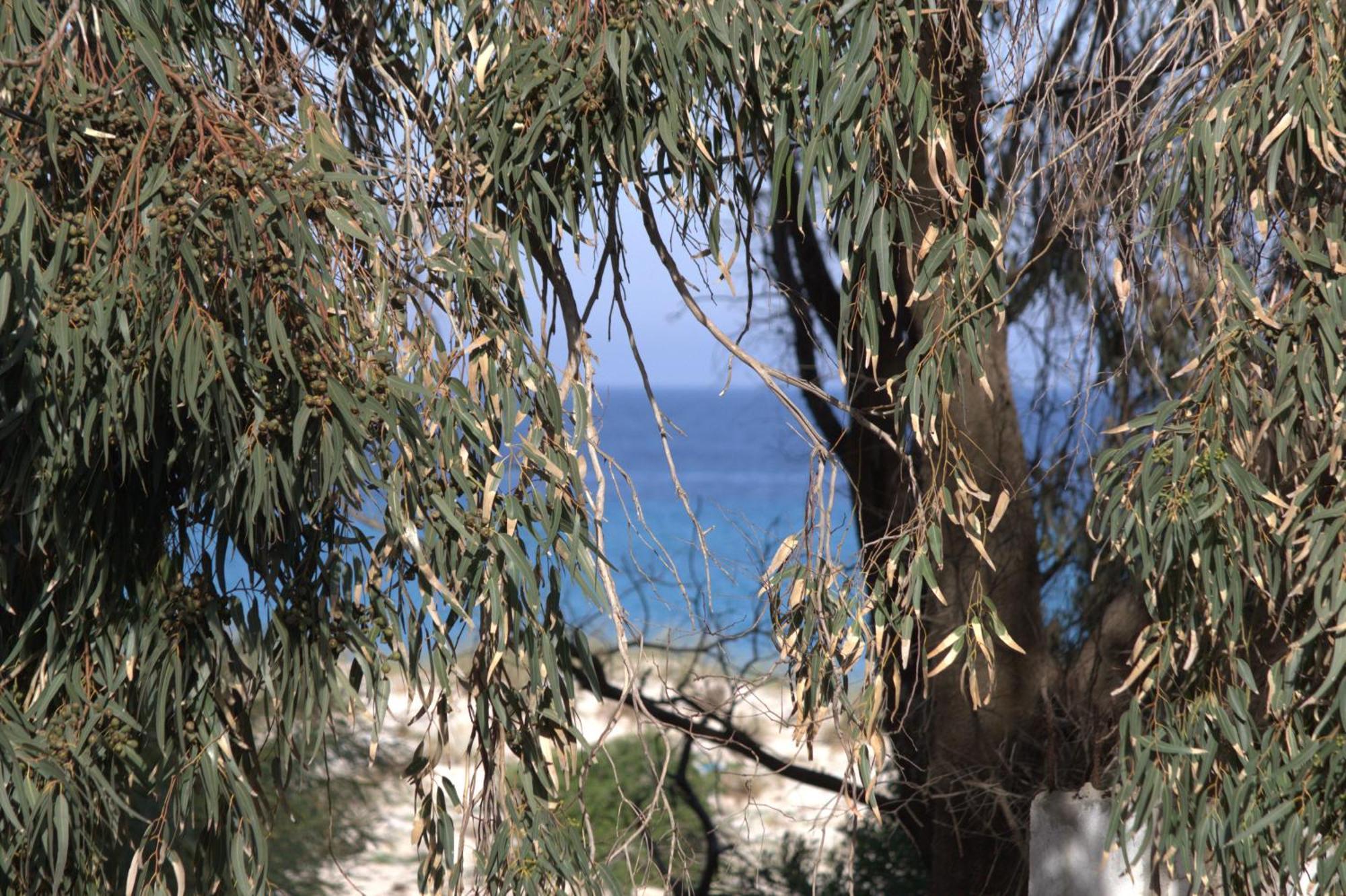Residence Sterne Hammam al Ghazzaz Εξωτερικό φωτογραφία