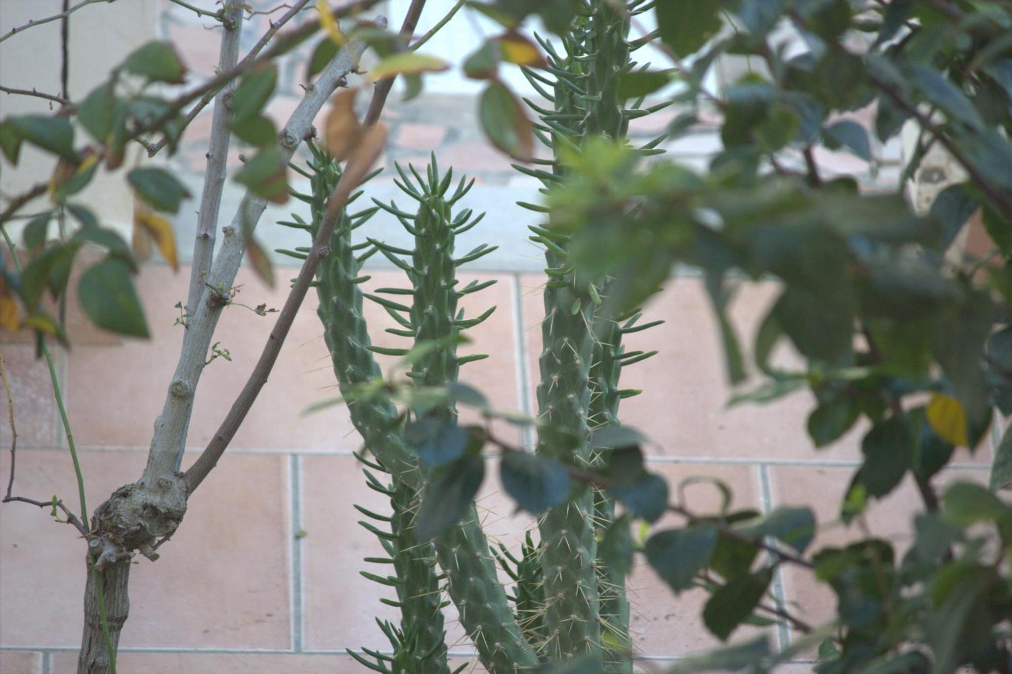 Residence Sterne Hammam al Ghazzaz Εξωτερικό φωτογραφία