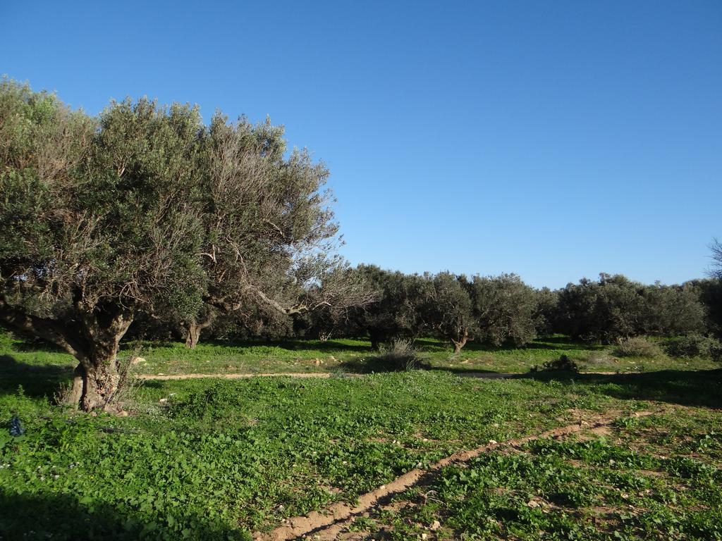 Residence Sterne Hammam al Ghazzaz Εξωτερικό φωτογραφία