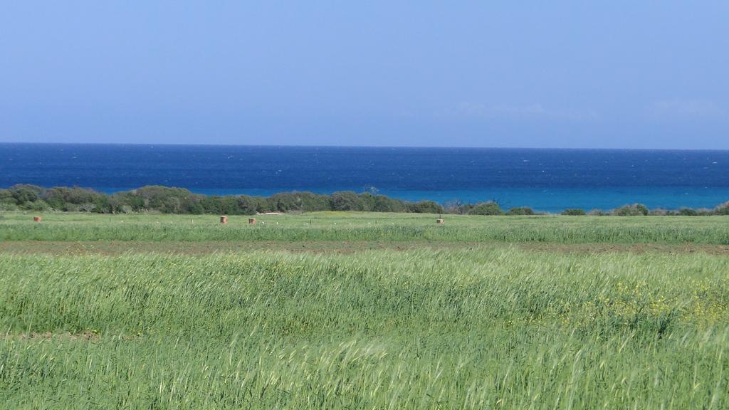 Residence Sterne Hammam al Ghazzaz Εξωτερικό φωτογραφία